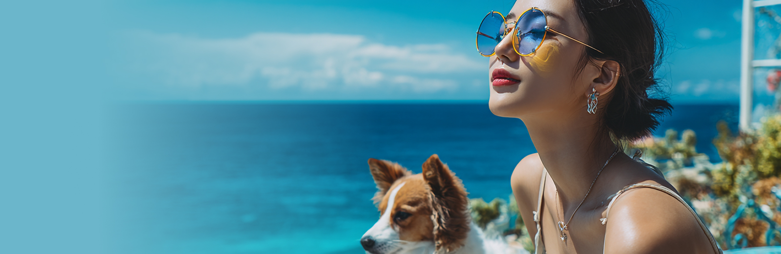 A new way to <span class="bold">enjoy trabel</span>