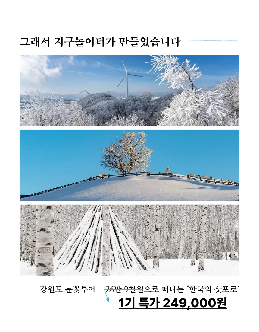 한국의 삿포로, 강원도 눈꽃 투어