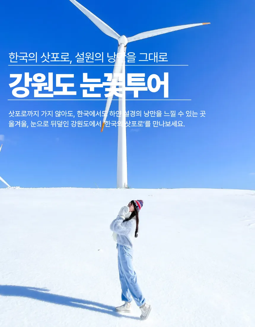 강원도 눈꽃 투어